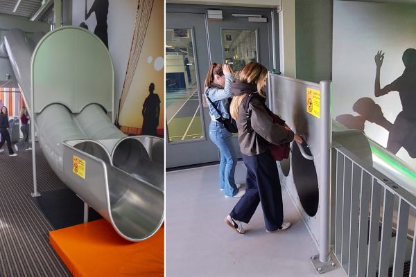 Bianca in The Netherlands: 'Cats and slides'