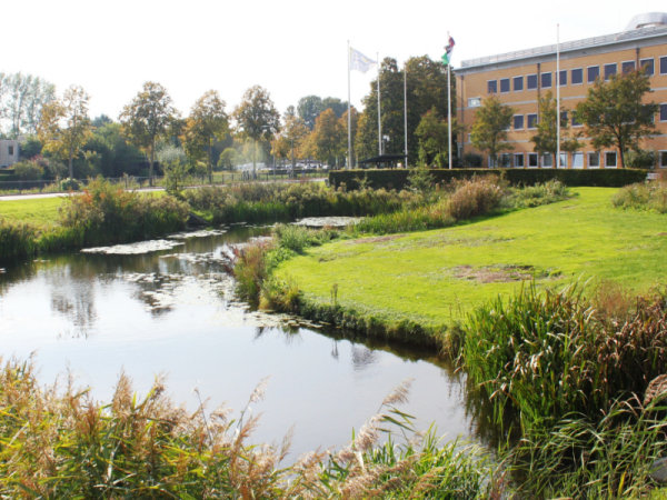 Campuspark krijgt zonnige zitbanken aan de waterkant