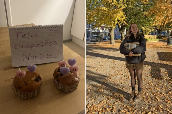 Nora in Norway: 'My flatmate made muffins for my birthday'