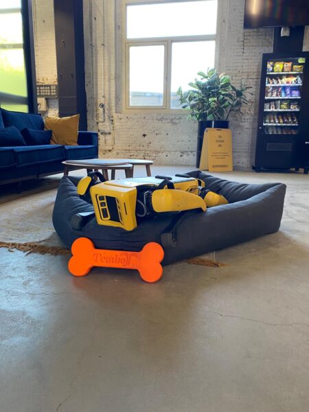 Robothond Spot in de lappenmand
