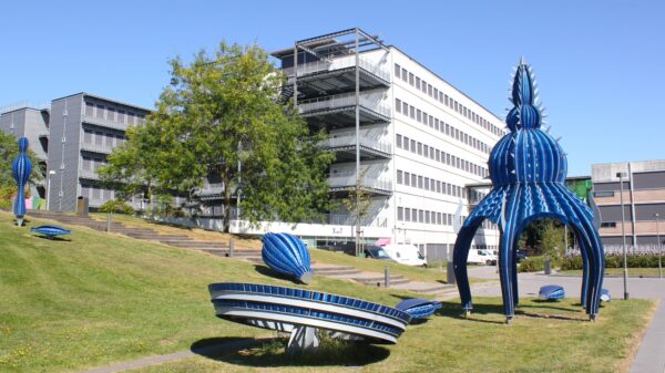 Windesheim behoudt eerste plek in NSE